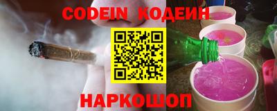 apvp Кингисепп