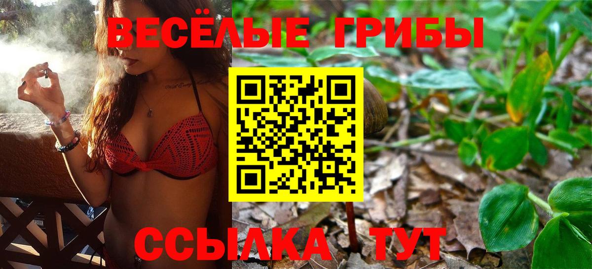 Псилоцибиновые грибы ЛСД  Вход с VPN  Киров 